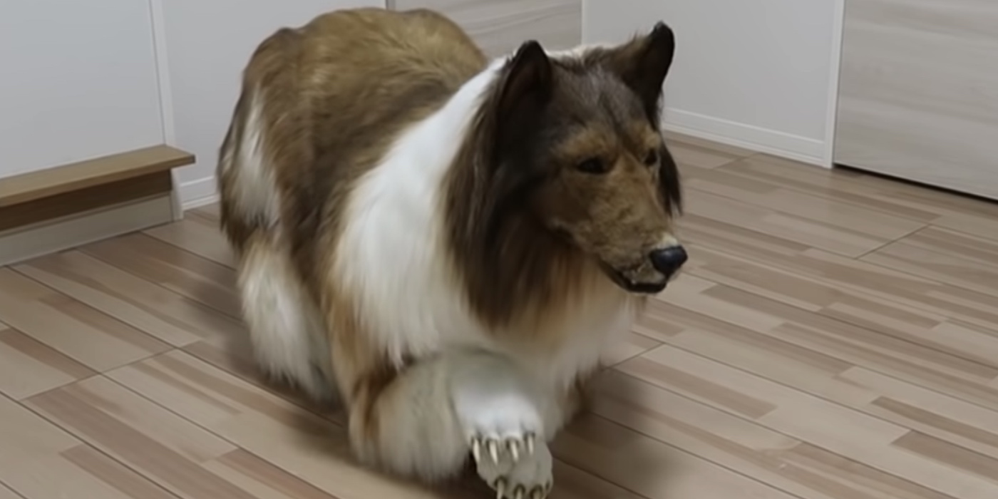 Japanese Man Spends £12,500 To Fulfil His Dream Of Living Like A Dog