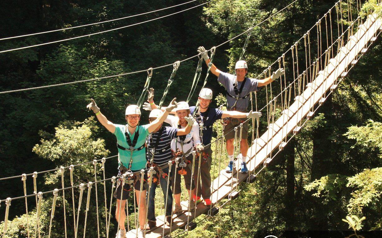 NGP Capital NGP New Analysts to the Investment Team