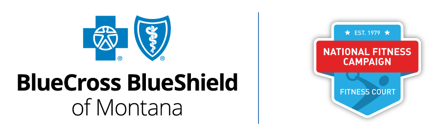 Blue Cross Blue Shield Logo