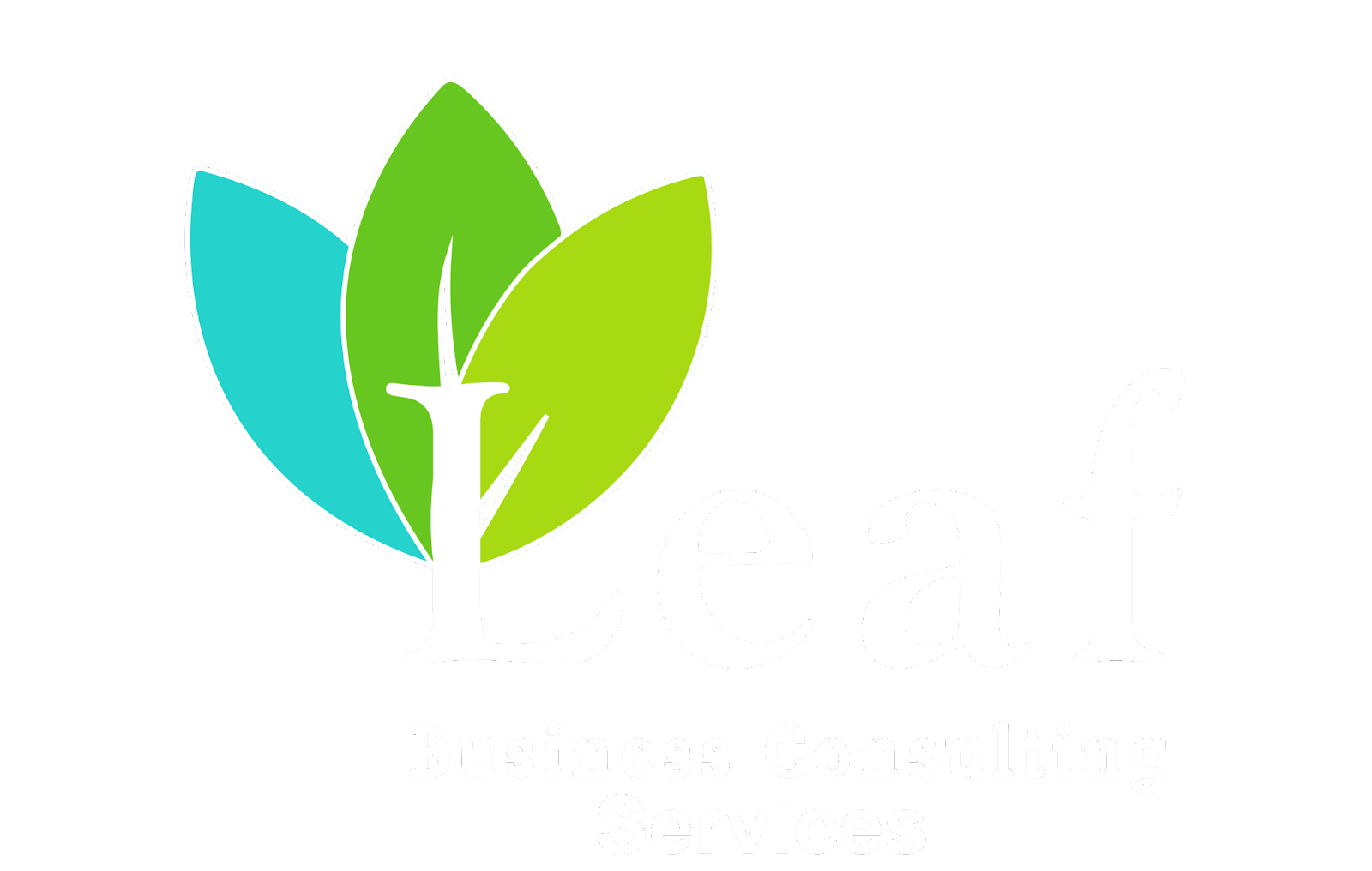 Leaf Business Consulting - Top IT Companies in Karur