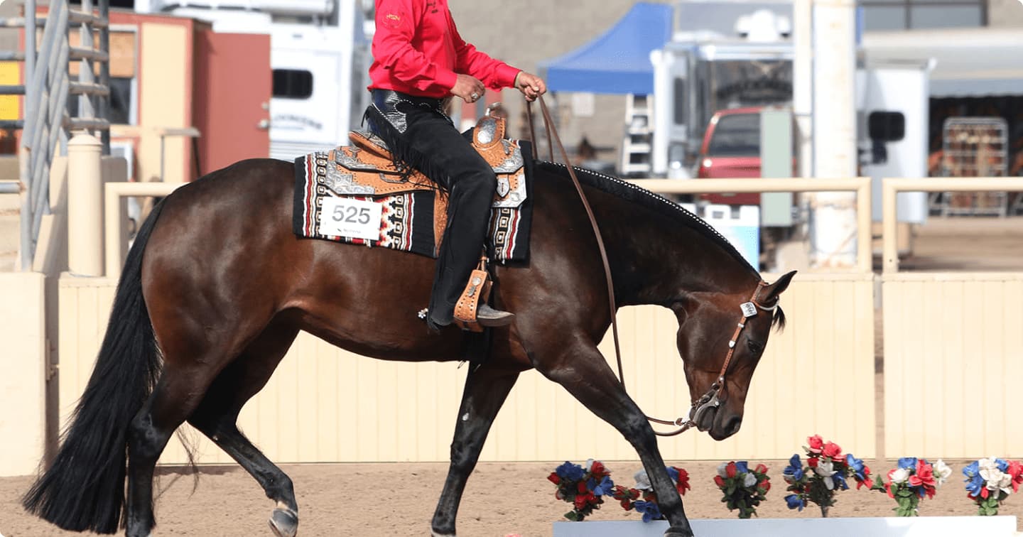 Upcoming Events at Westworld of Scottsdale | Concerts, Car shows, & More