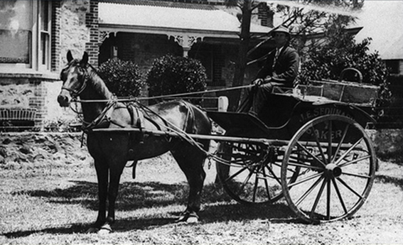 A faster horse - Buzz - IS IT A BIRD