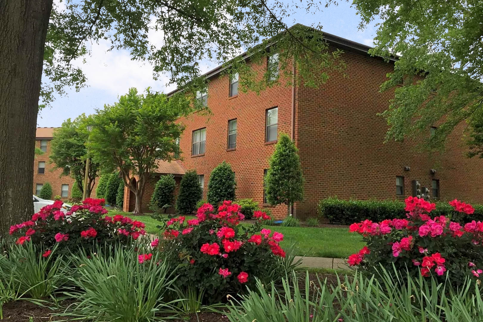 Green Tree Apartments Justin Ferguson