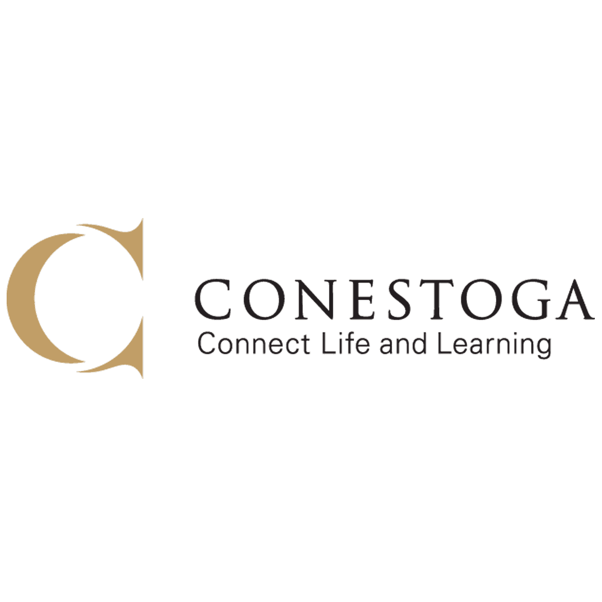 Cyber Security in Conestoga College Specific