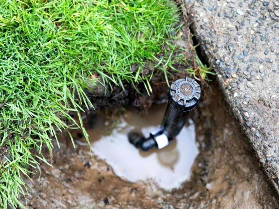 Why Is My Sprinkler Head Not Popping Up? Always Green Canada