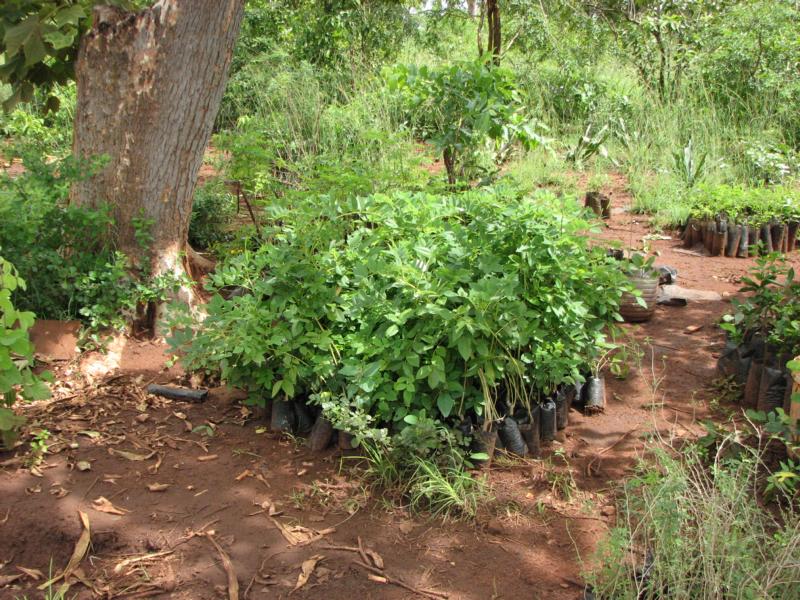Farmer Training Centre Under Construction