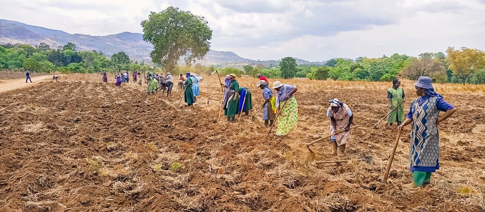 Women In Rural Areas Empowering Women in Rural Tanzania: Spotlight on Dodoma’s Women in ...