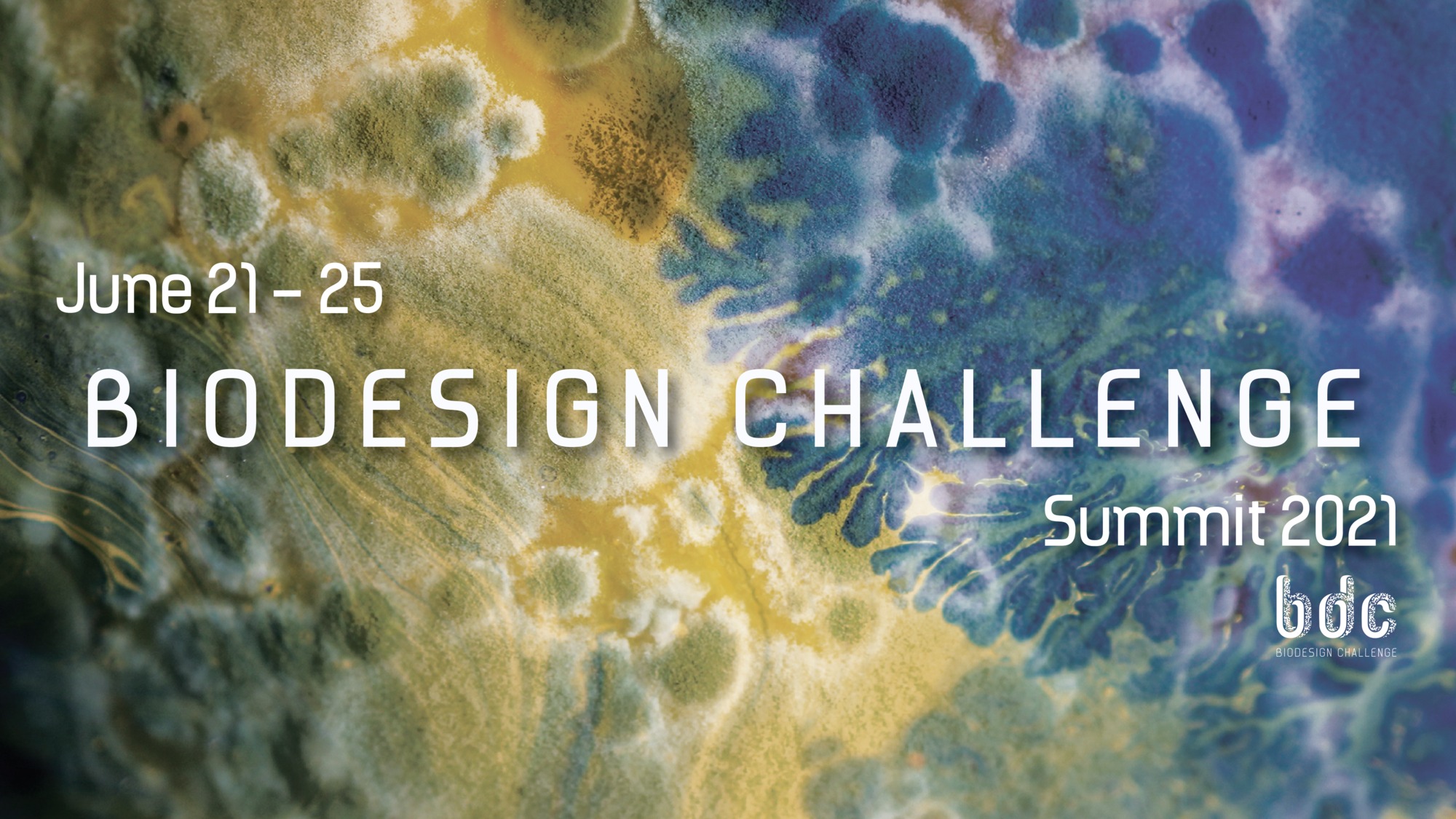 Biodesign Challenge Summit 2021 • Laura Splan