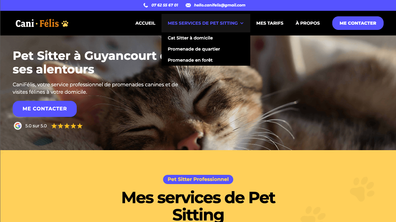 site web webflow canifelis navigation