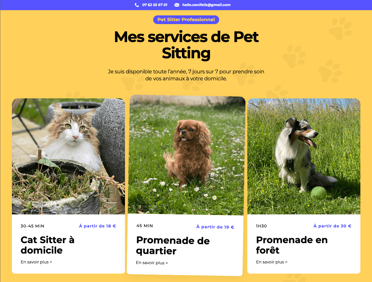 site web webflow canifelis services