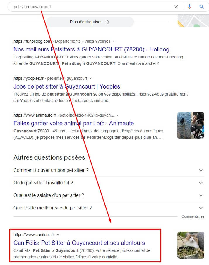 optimisation seo site webflow Caniélis