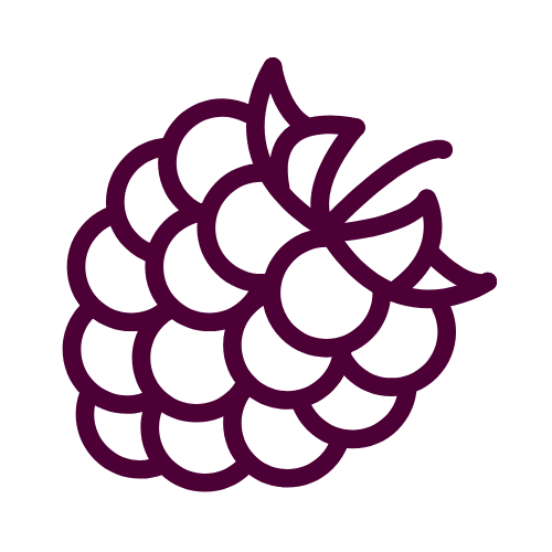 St Kilda Berry Farm Real Fruit Ice Creams and Berries Coming Soon