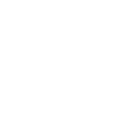 Modern House Figure White