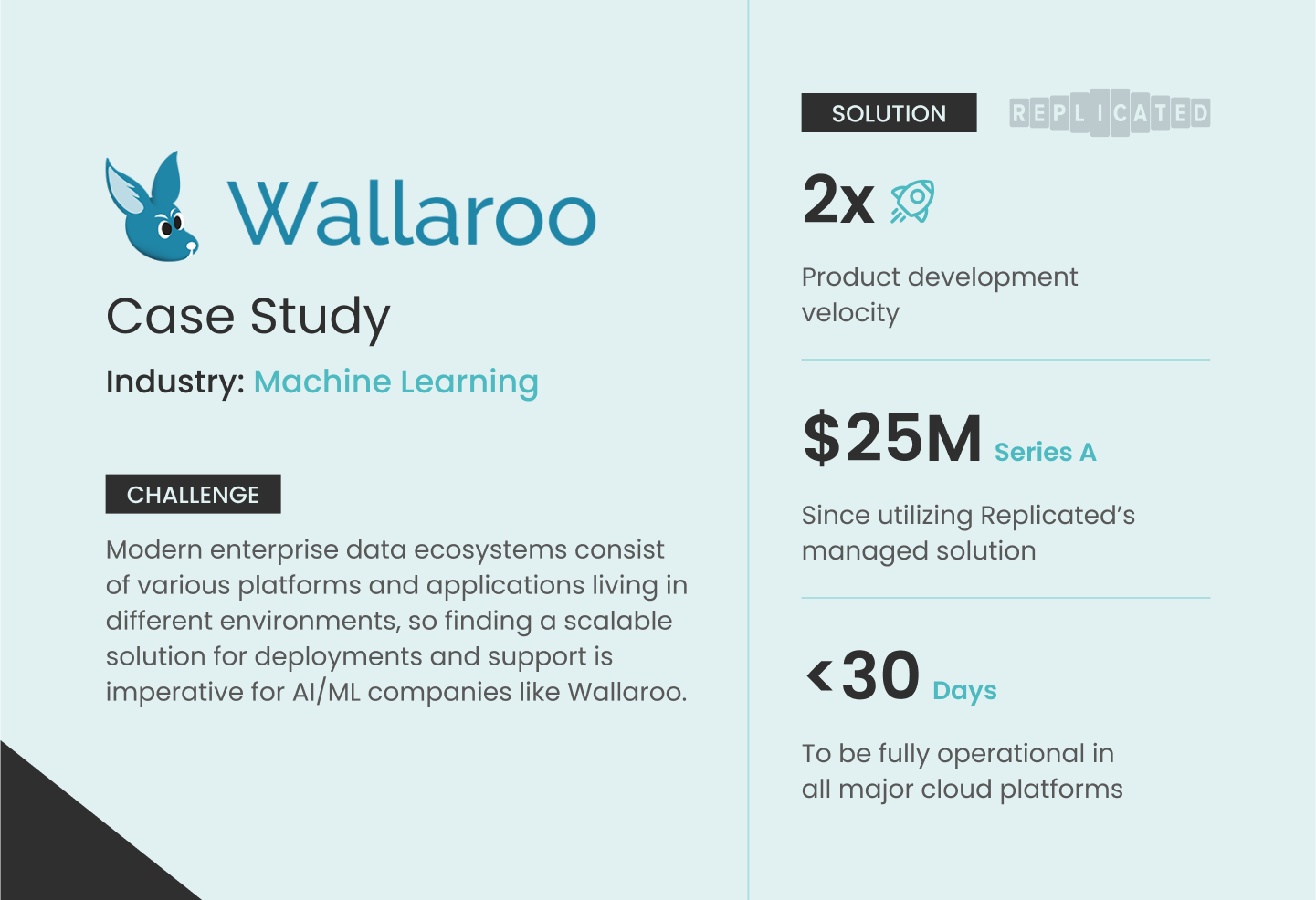 Wallaroo Scales for the Future With Replicated