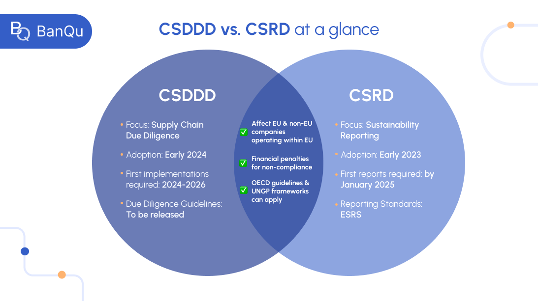 CSDDD vs CSRD