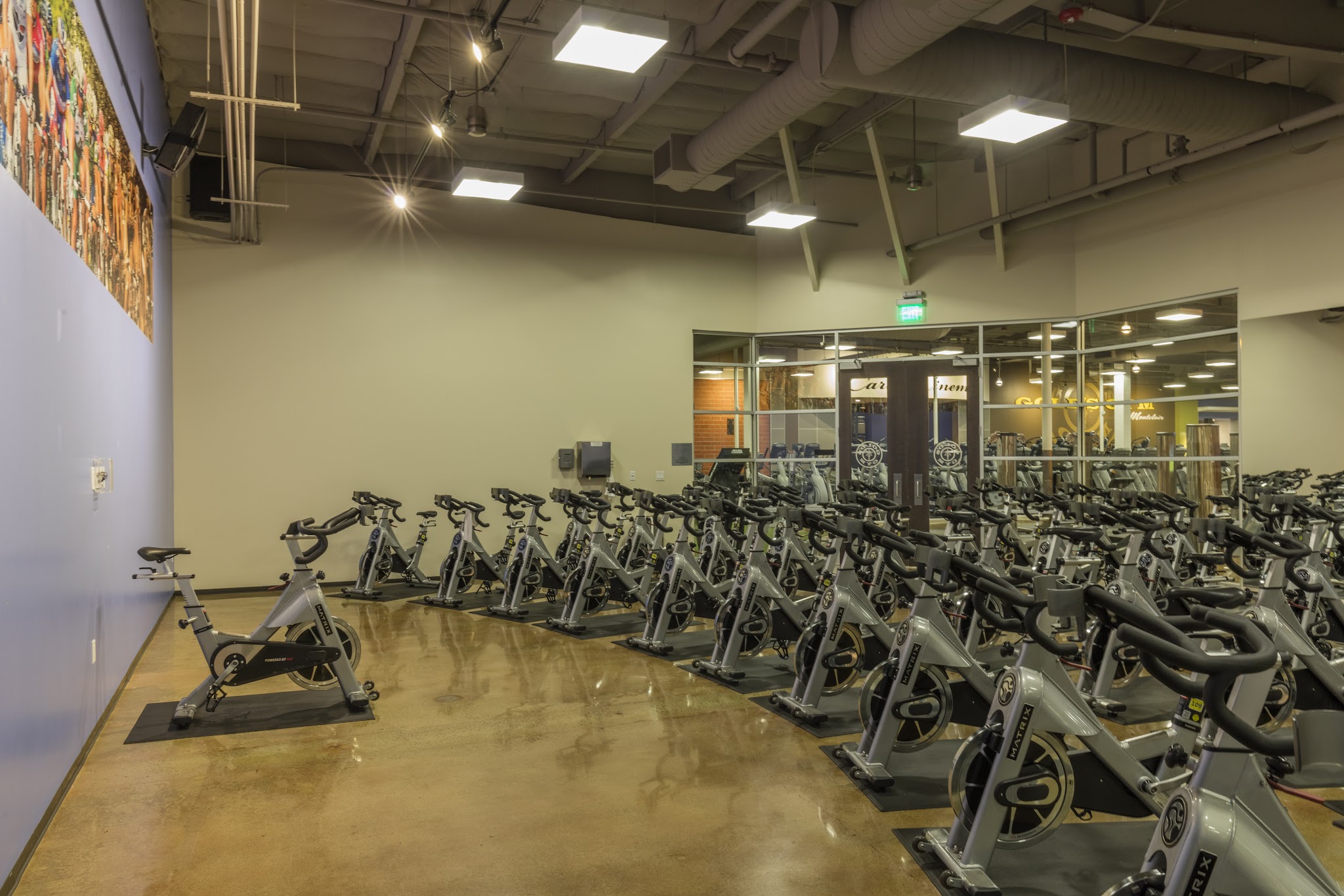 Is Gold's Gym Montclair a good gym? (Expert Opinion)