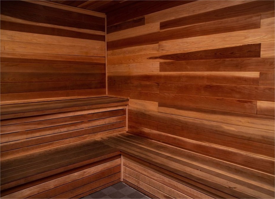Does Crunch Fitness have a sauna? See the exact list!