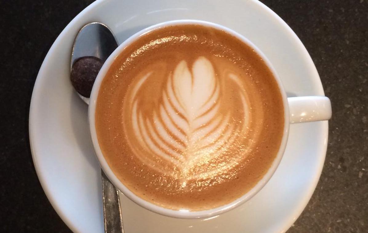 Rojo's Roastery Experience Princeton