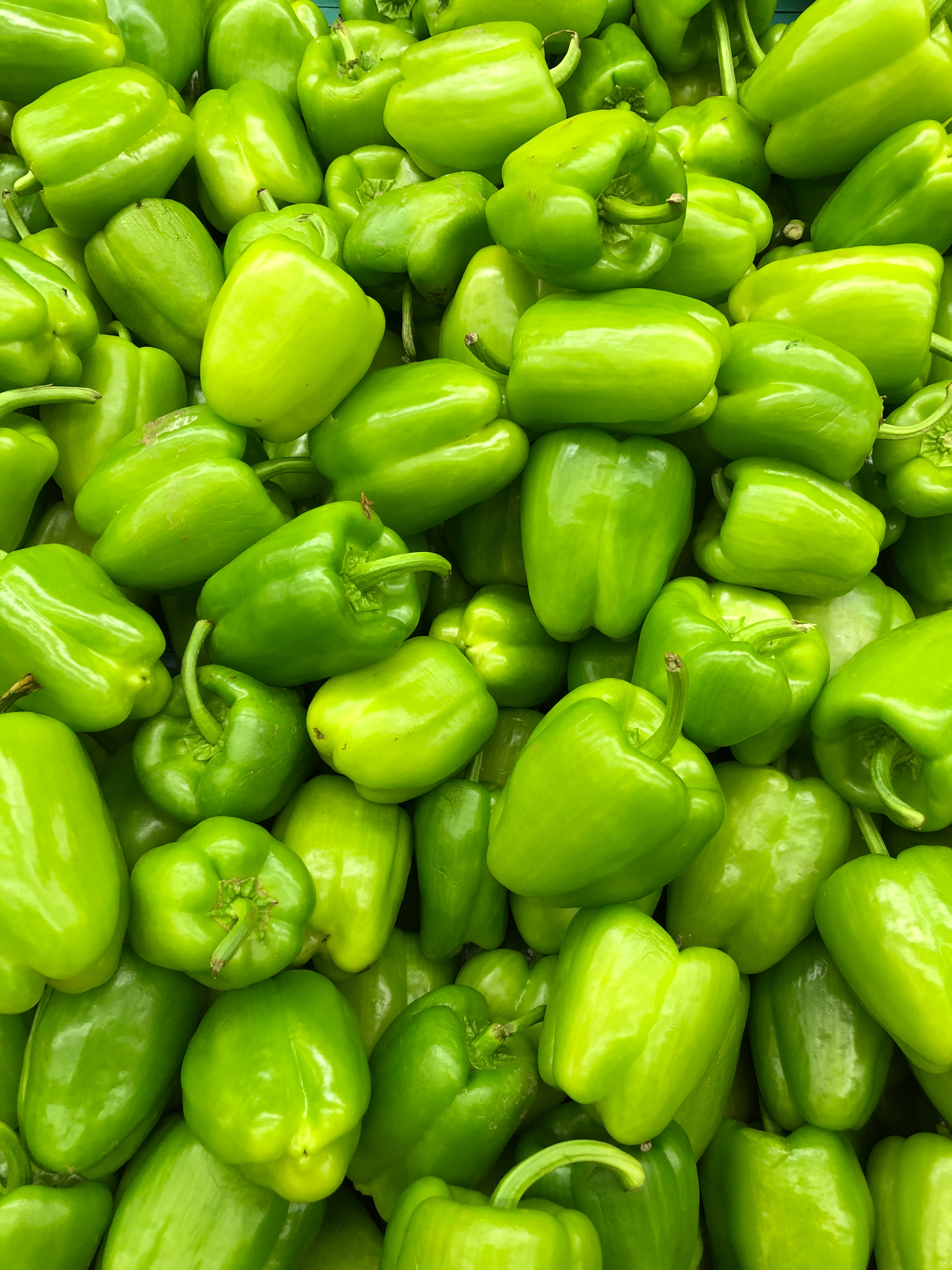 hexafarms Bell Peppers