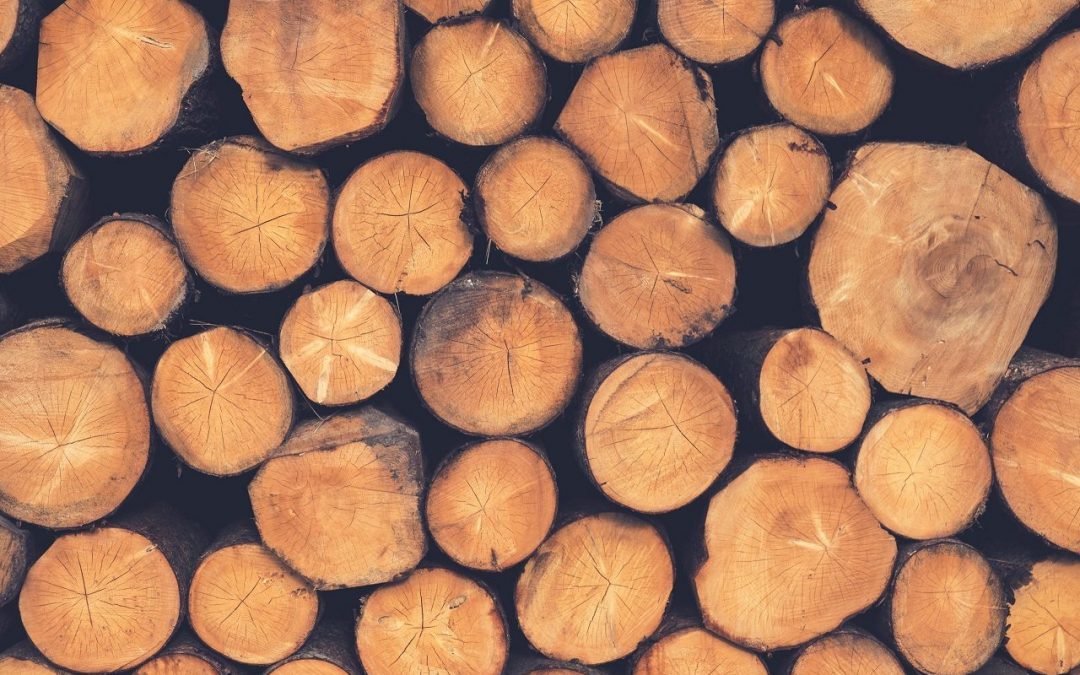What is the difference between American Oak & European Oak?