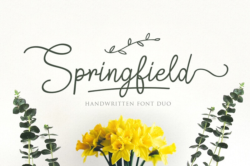 23 Best Free and Inexpensive Fonts for Cookbook Design