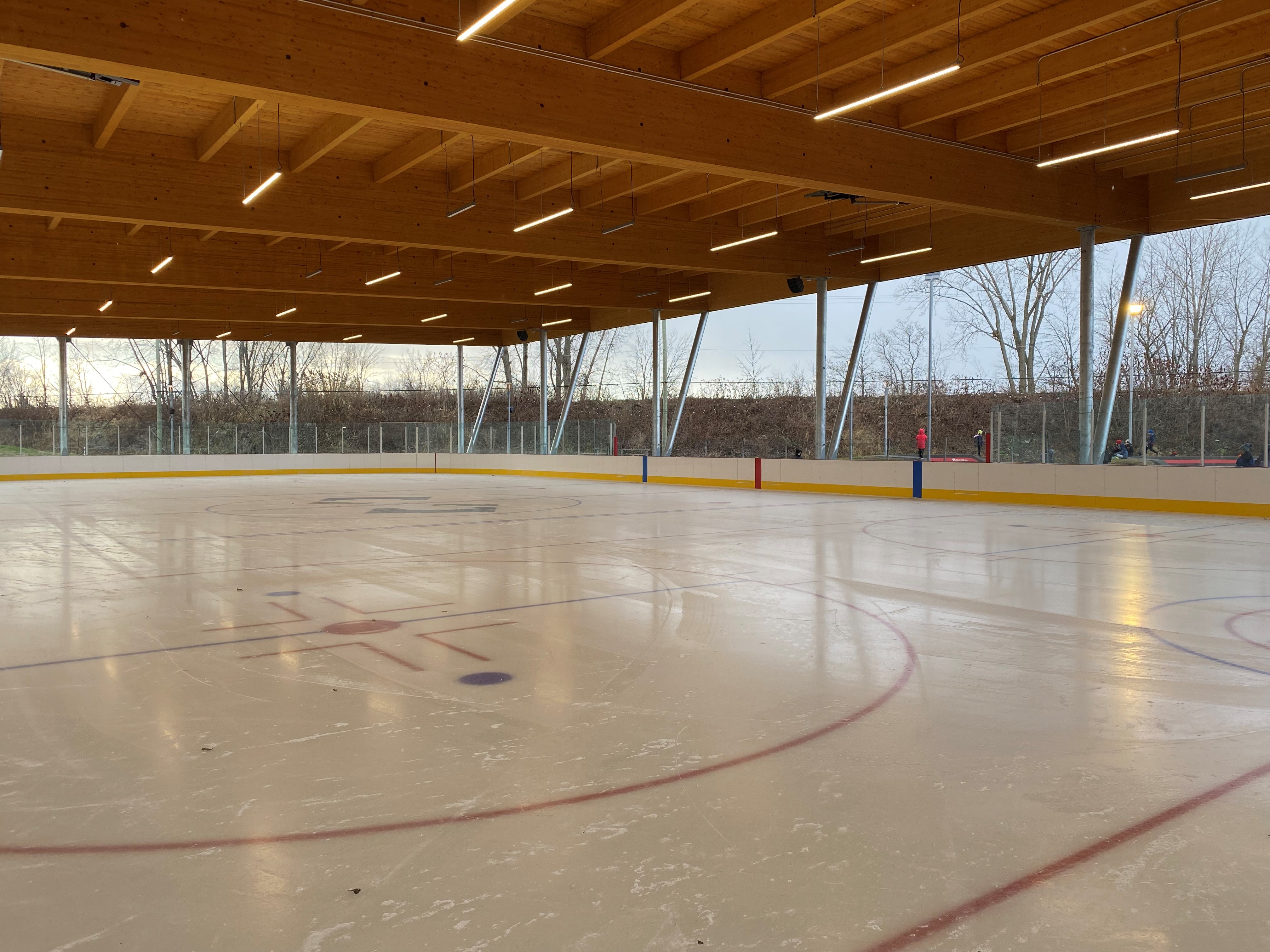 Carnduff Rink CARIGNAN SKATING RINK