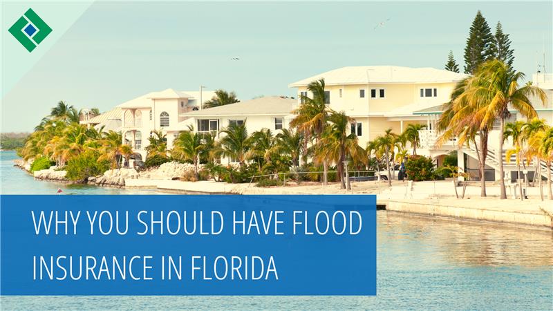 Why You Should Have Flood Insurance in Florida