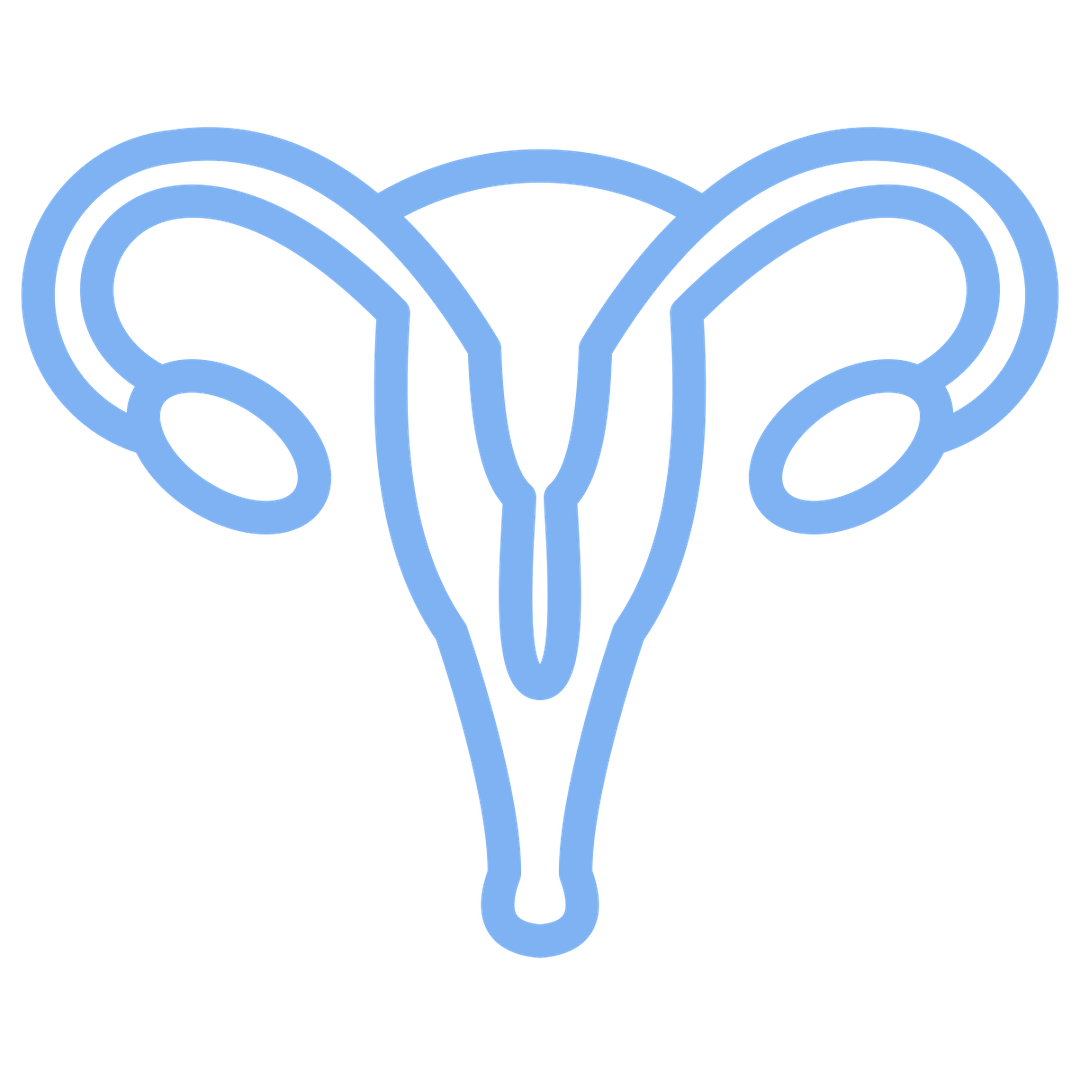 Patrulla A rea Civil Colombiana patrulla-a-rea-civil-colombiana