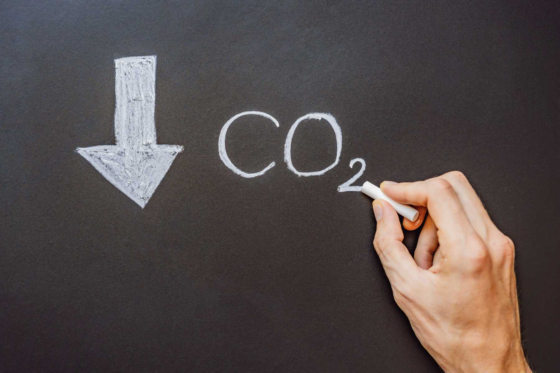 CO2-reduce-and-offset-with-bunq