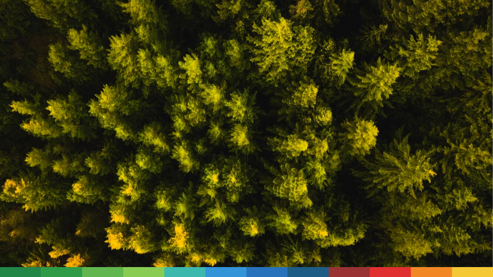 trees-forest-greens