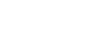 Brave Logo