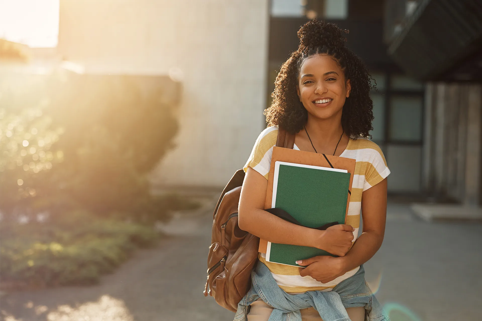 BDV Solutions Enterprise