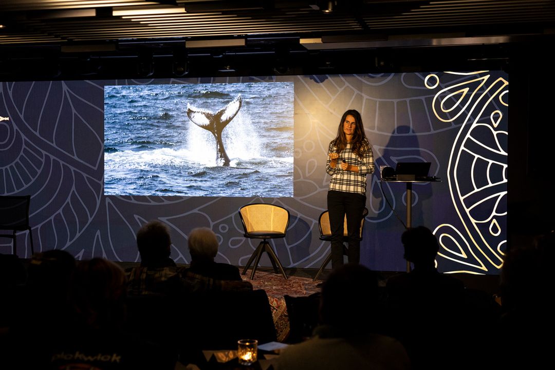 Le Tapis Volant - Die Reise-Eventserie im MYLE