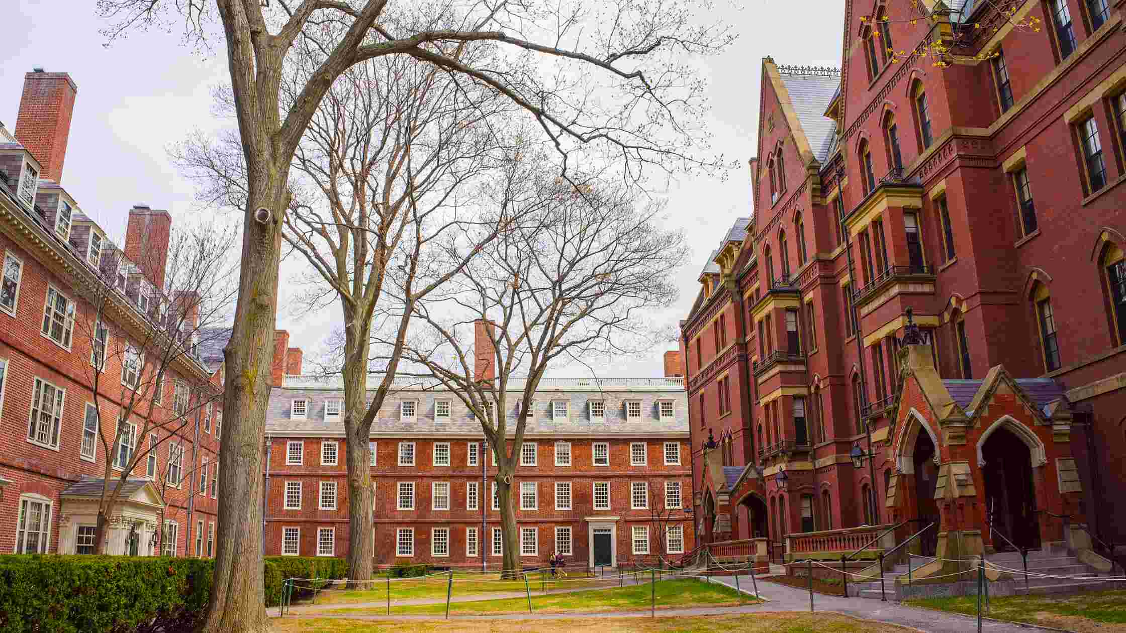 How To Get Into an Ivy League?