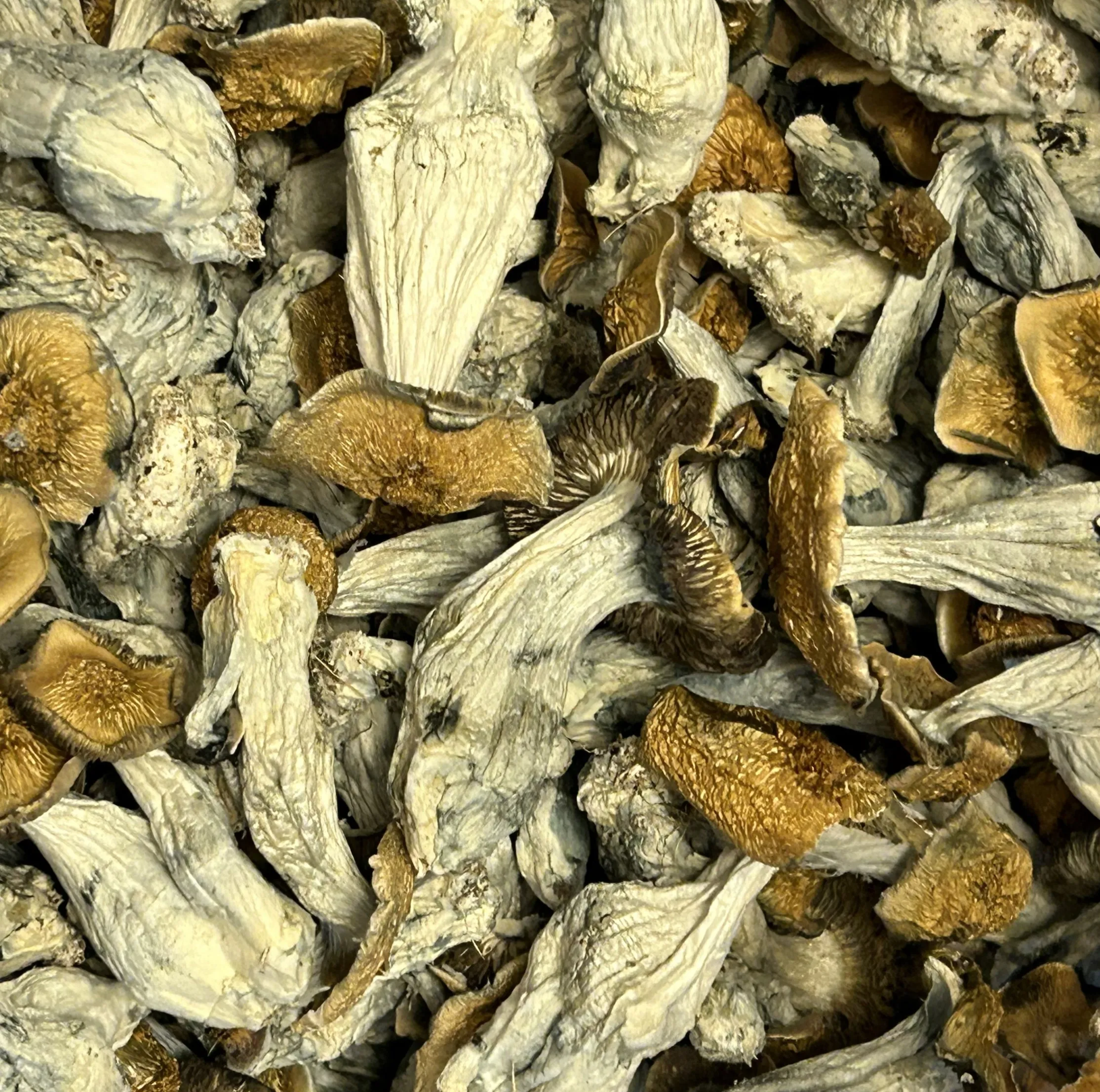 Menu Mushrooms in Ann Arbor