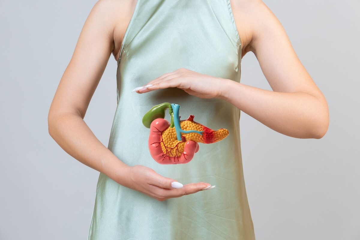 Gallbladder Function What It Does and Why It Matters Ezra