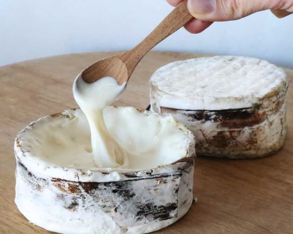 Introducing Quinta A Farmstead Delight from Point Reyes Farmstead Cheese