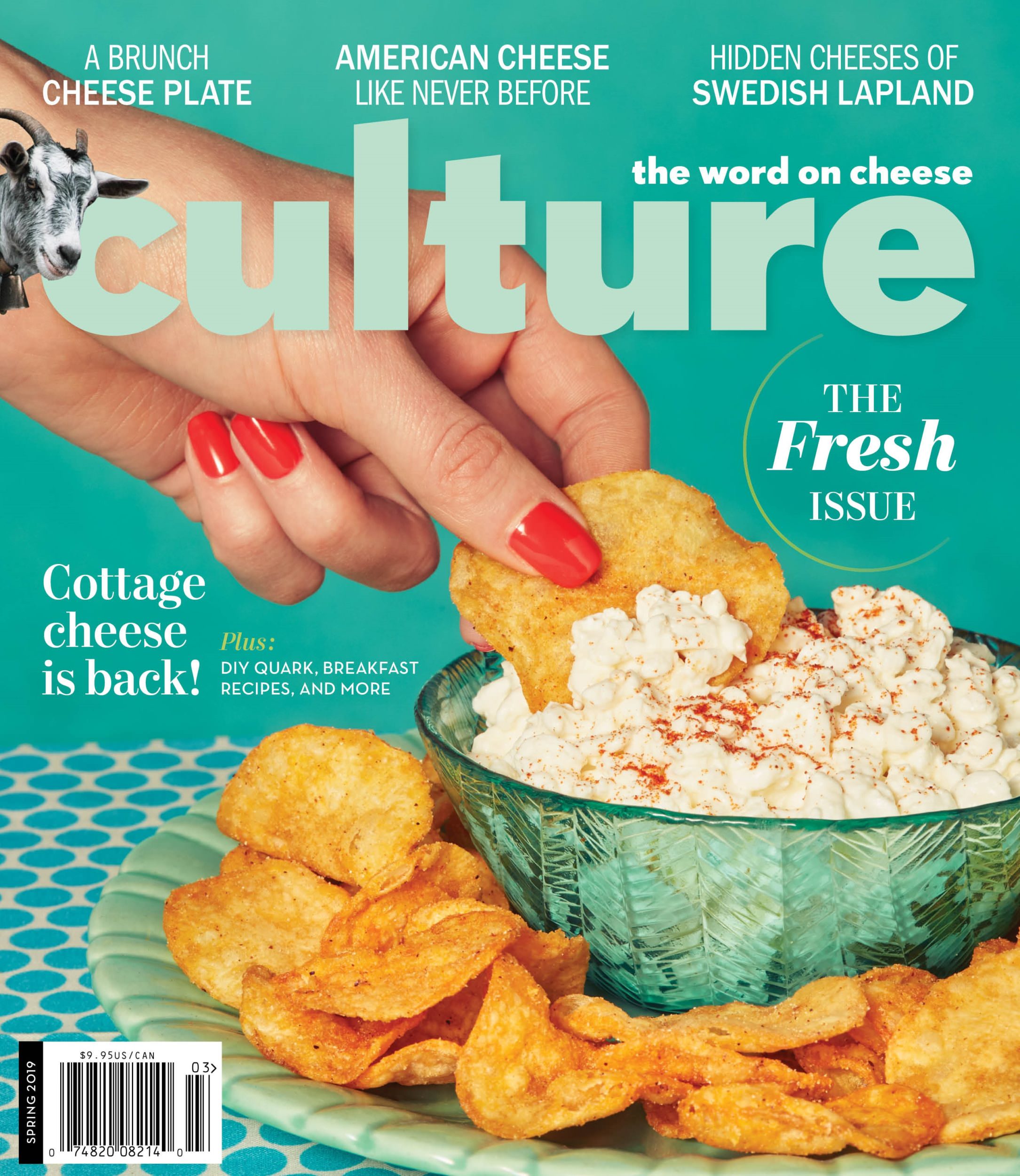 Beginner's Cheese Exploration: Essential Resources