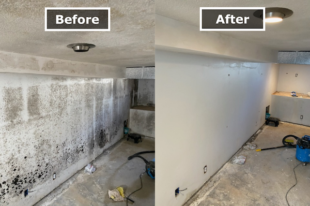 Pure Air Raleigh Healthy & Affordable Mold Remediation - Pure Maintenance of the Blue Ridge