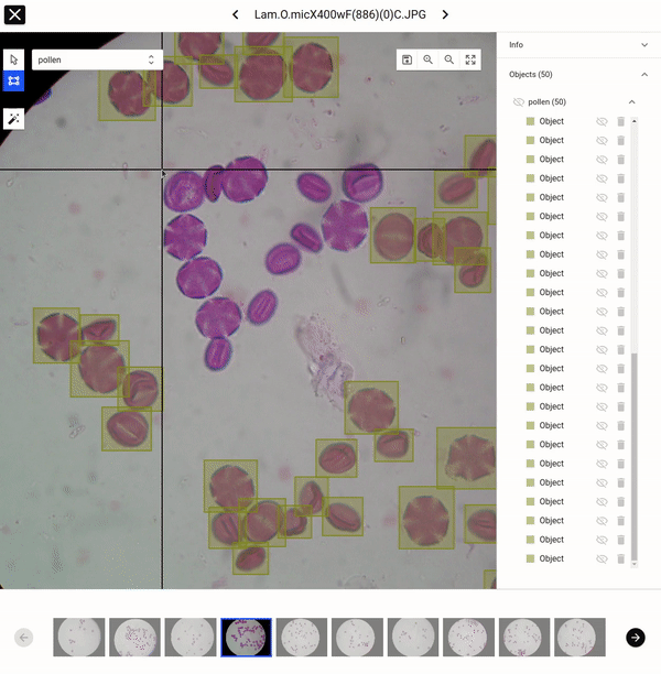 Labelling Yolo Model-assisted labeling for YOLO