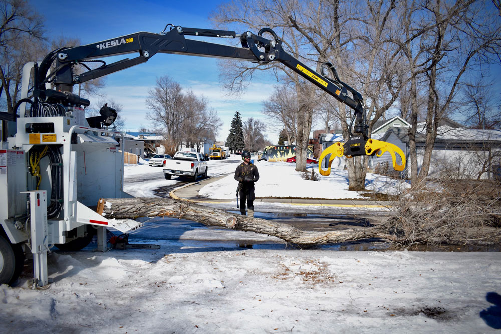 Tree Mechanics LLC Serving Northern Wyoming and South Eastern Montana