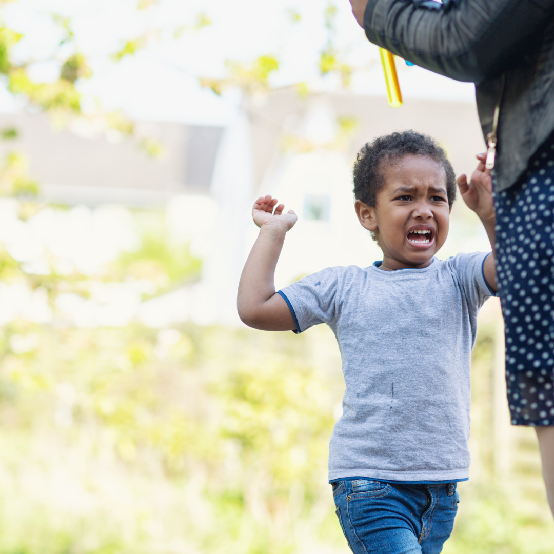 Why is my kid hitting? Fitnesso Webflow website template