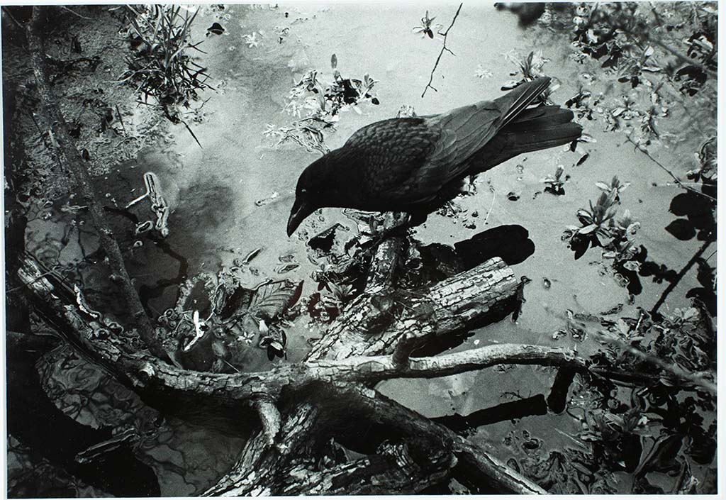 Fine Art Photography Glasgow School of Art