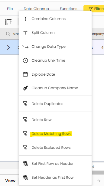 Access ing 'Delete Matching Rows' feature in the Data Cleanup menu