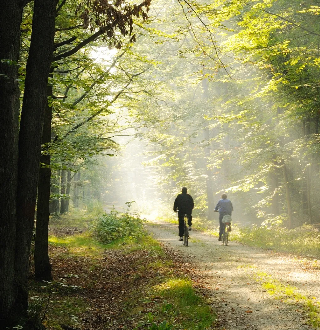 Downing Estate Planning Service Product Literature