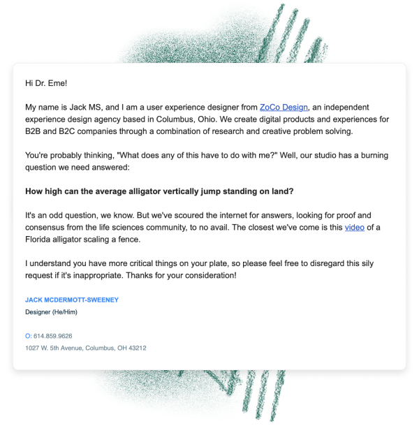 ZoCo Curiosity how high can an alligator jump? ZoCo Design ZoCo Design