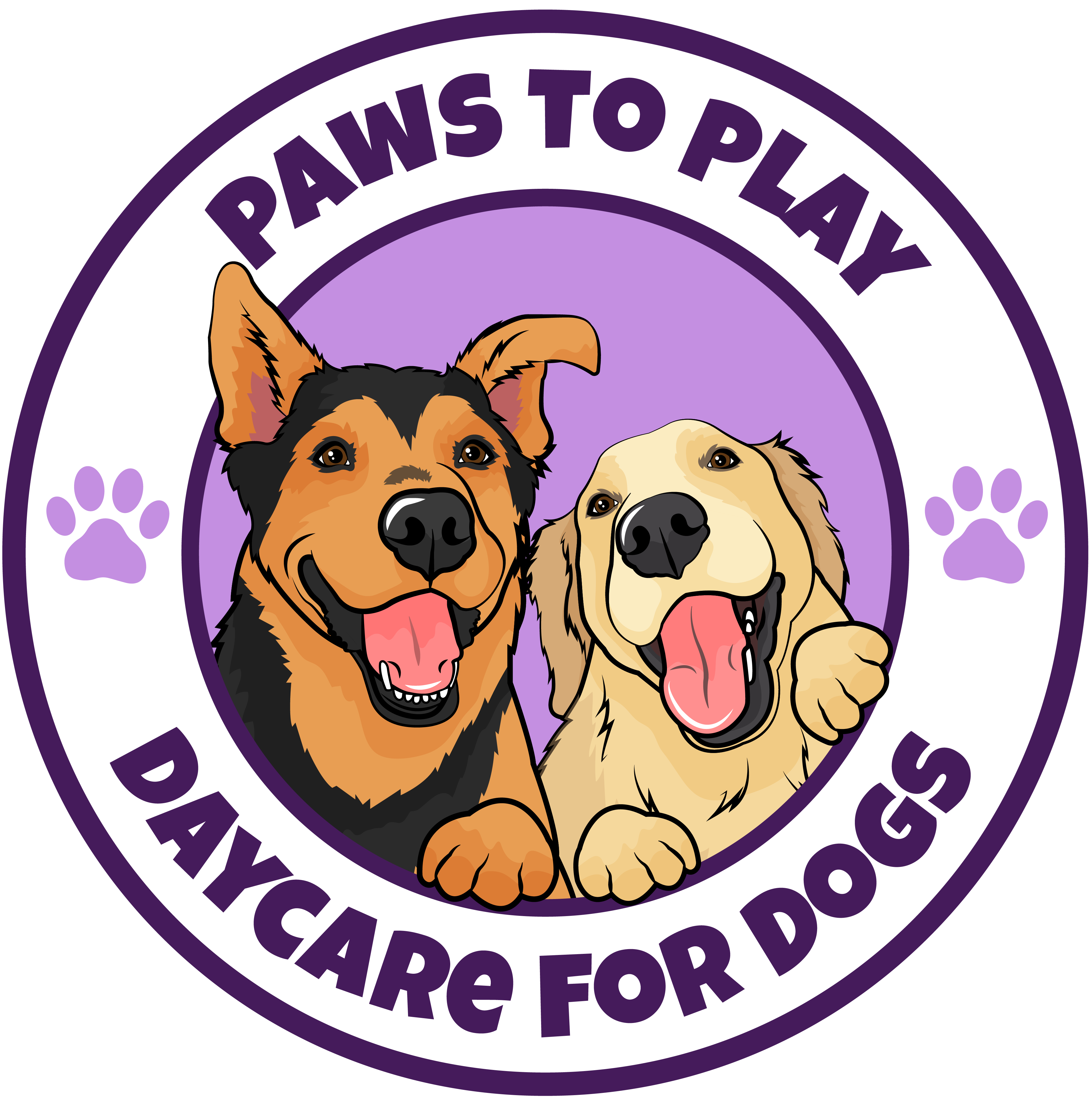 our-doggy-daycare-services-paws-to-play