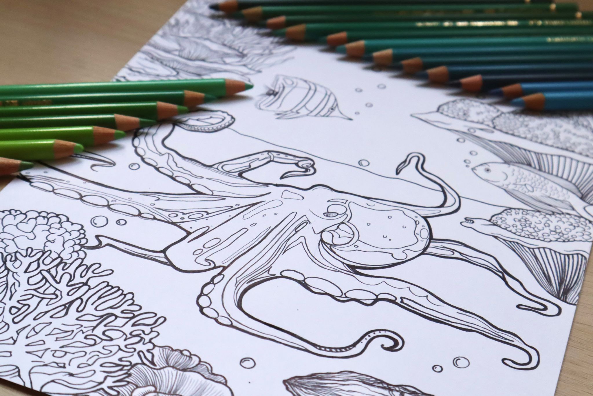 Colouring Workshop: Oceanic Encounters