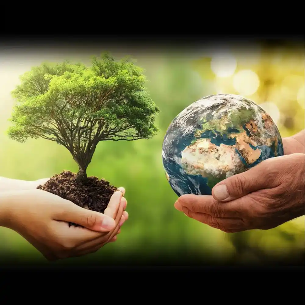 International Mother Earth Day 2023 History Importance How To 