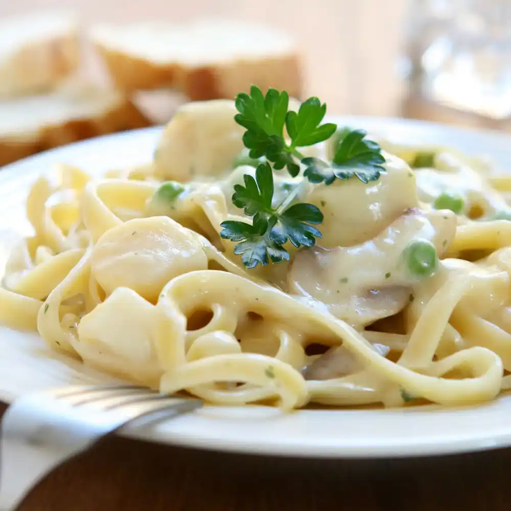 National Fettuccine Alfredo Day 2023 History, Importance & How to